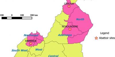 Камерун покажува региони мапа