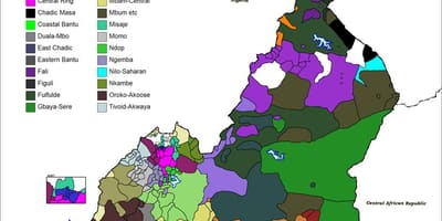 Карта на Камерун јазик
